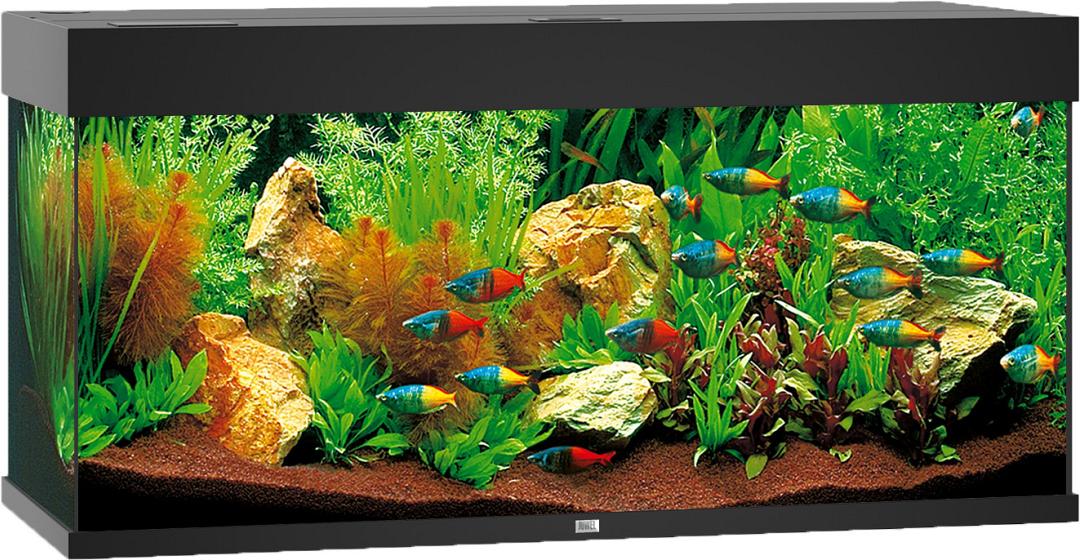 aquarium Rio 180 LED zwart | Baas & Beest