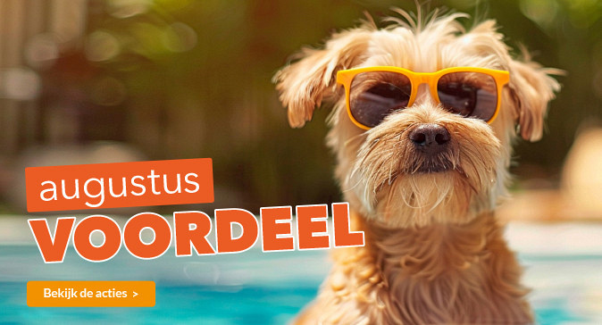slider augustus 2025 674x364