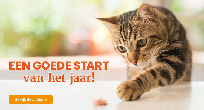 slider januari 2026 674x364