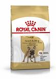 Royal Canin hondenvoer French Bulldog Adult 1,5 kg