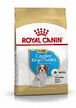 Royal Canin hondenvoer Cavalier King Charles Puppy 1,5 kg