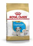 Royal Canin hondenvoer Dalmatian Puppy 12 kg