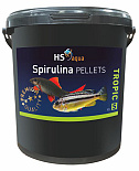HS Aqua Spirulina Pellets S 10 ltr