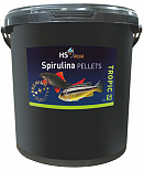 HS Aqua Spirulina Pellets S 20 ltr