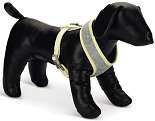Beeztees Puppy borsttuig Bronda grijs