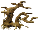 SuperFish Bonsai Planter M