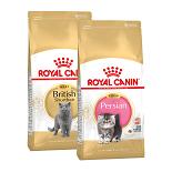 Royal Canin Kattenvoer Breed