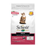 Schesir Kattenvoer Maintenance Ham 400 gr