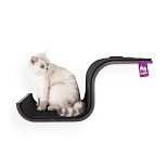 Petrebels Wall of Rebels Scratch 70 Wengé