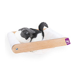 Petrebels Wall of Rebels Lazy 50 Rusty Oak