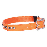 Rogz Halsband Lapz Luna Oranje M