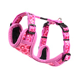 Rogz Hondentuig Fashion Wild Hearts