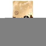 CaroCroc Hondenvoer Puppy 12,5 kg