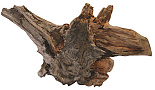 SuperFish Driftwood XL