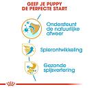 Royal Canin hondenvoer Boxer Puppy 12 kg