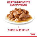 Royal Canin Kattenvoer Ultra Light in Gravy <br>12 x 85 gr
