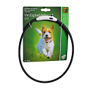 Veiligheidshalsband Led Verstelbaar Zwart<br> 50 -65 cm