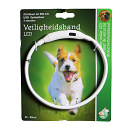 Veiligheidshalsband Led Verstelbaar Multi<br> 30 - 40 cm