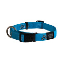 Rogz Halsband Fancy Dress Turqoise Paw