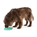West Paw Slowfeeder Feast Mat Waves Kelp