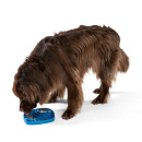 West Paw Slowfeeder Feast Mat Waves Marine