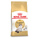 Royal Canin Kattenvoer Ragdoll Adult 2 kg