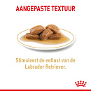 Royal Canin Hondenvoer Labrador Adult 10 x 140 gr