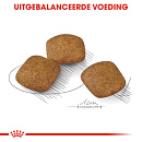 Royal Canin Hondenvoer Relax Care Medium 10 kg