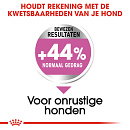 Royal Canin Hondenvoer Relax Care Medium 10 kg
