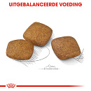 Royal Canin Hondenvoer Relax Care Maxi 9 kg