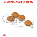 Royal Canin Hondenvoer Derma-comfort Mini 1 kg