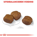 Royal Canin Hondenvoer Dental Care Maxi 9 kg