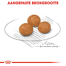 Royal Canin Hondenvoer<br> X-Small Adult 500 Gr