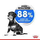 Royal Canin Hondenvoer Light Weight Care Mini 8 kg