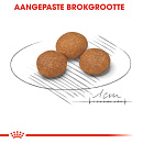 Royal Canin Hondenvoer<br> X-Small Adult 8+ 3 kg