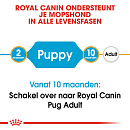 Royal Canin Hondenvoer Pug Puppy 1,5 kg
