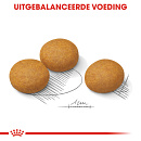 Royal Canin Hondenvoer Derma-comfort Maxi 3 kg