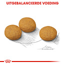 Royal Canin Hondenvoer Derma-comfort Medium 3 kg