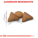 Royal Canin kattenvoer Indoor Appetite Control 4 kg