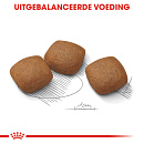 Royal Canin Hondenvoer Joint Care Maxi 3 kg