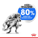 Royal Canin Hondenvoer Light Weight Care Medium 3 kg