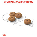 Royal Canin Hondenvoer Sterilised Mini 8 kg