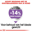 Royal Canin Hondenvoer Sterilised Mini 8 kg