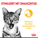 Royal Canin Kattenvoer Sensory Taste in gravy 12 x 85 gr