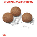 Royal Canin Hondenvoer Digestive Care Maxi 12 kg