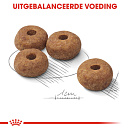 Royal Canin Hondenvoer Sterilised Medium 12 kg