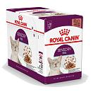Royal Canin kattenvoer Sensory Feel in gravy <br>12 x 85 gr