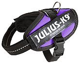 Julius K9 IDC Powerharness purple