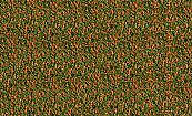 Tetra Micro pellets <br>100 ml