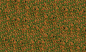 Tetra Micro sticks <br>100 ml